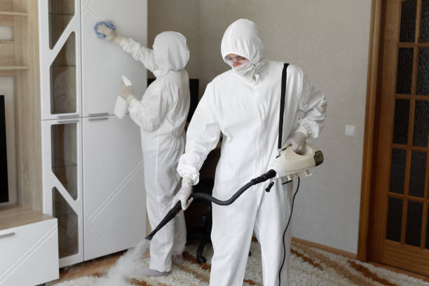 24/7 Emergency Odor Removal experts in Jeffersonville, KY